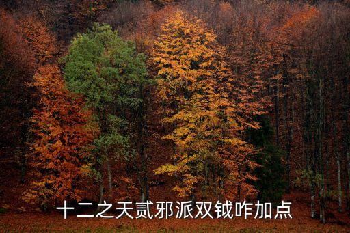 雙鉞，十二之天貳邪派雙鉞咋加點(diǎn)