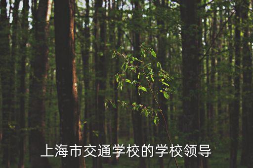 鄧黎明上海市，上海市長寧區區長是誰