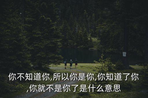 你不知道你,所以你是你,你知道了你,你就不是你了是什么意思