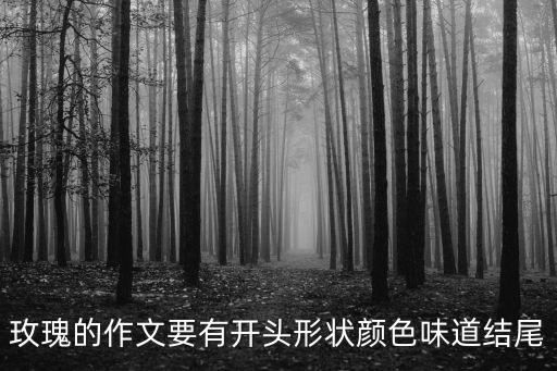 描寫玫瑰花的作文，我家的玫瑰花作文三百二十個字