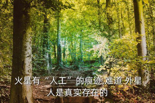 火星外星人,火星人是火星上虛構智慧生物或難尋找