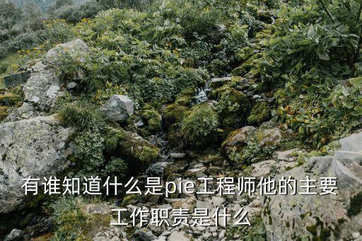 有誰知道什么是pie工程師他的主要工作職責是什么