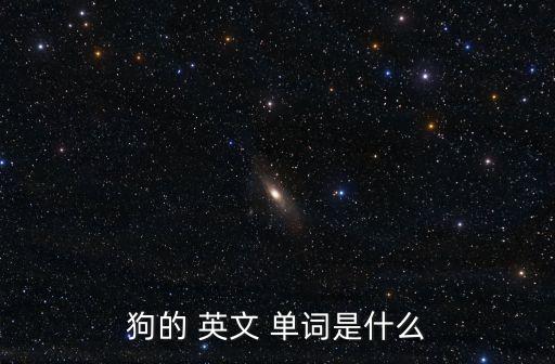 狗英文單詞怎么寫(xiě),狗叫跟蹤美國(guó)警察來(lái)了?
