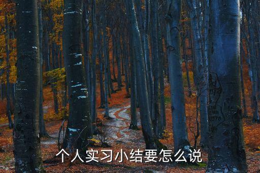 個人實習小結要怎么說