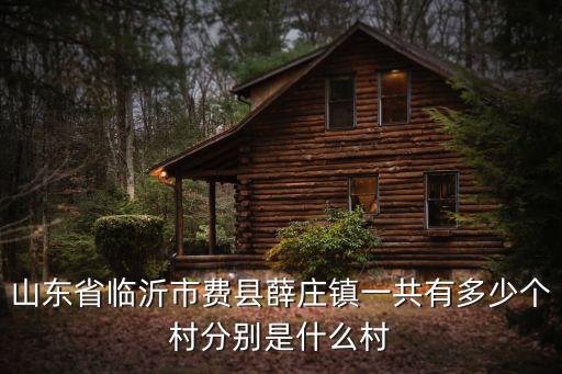 杜昌偉，山東省臨沂市費縣薛莊鎮一共有多少個村分別是什么村