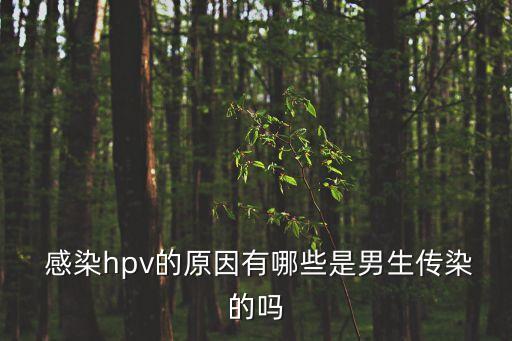  感染hpv的原因有哪些是男生傳染的嗎