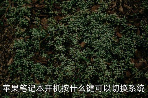 蘋果筆記本開機(jī)按什么鍵可以切換系統(tǒng)
