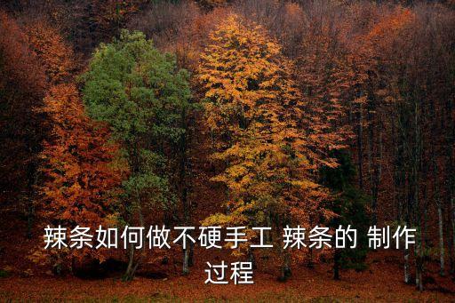  辣條如何做不硬手工 辣條的 制作 過程