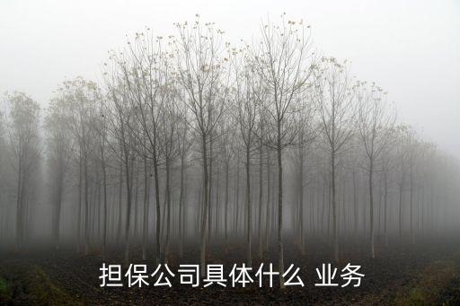  擔保公司具體什么 業務