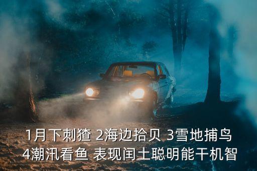 1月下刺猹 2海邊拾貝 3雪地捕鳥 4潮汛看魚 表現(xiàn)閏土聰明能干機智