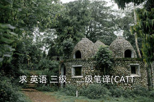 求 英語 三級、二級筆譯(CATTI