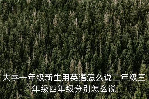 大學一年級新生用英語怎么說二年級三年級四年級分別怎么說
