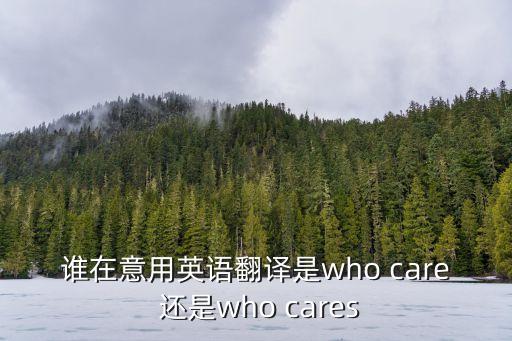 在意英文，在意的英語單詞