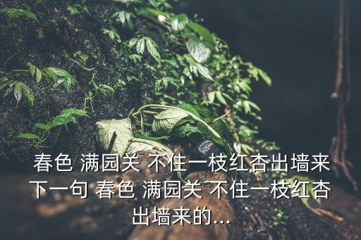 春色滿園關(guān)不住,一顆杏仁從墻里出來了春色滿園關(guān)不住