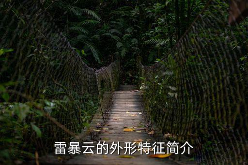 雷暴云的外形特征簡介