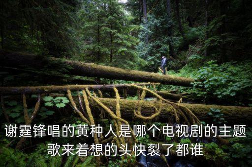 黃種人歌曲，謝霆鋒唱的黃種人是哪個電視劇的主題歌來著想的頭快裂了都誰