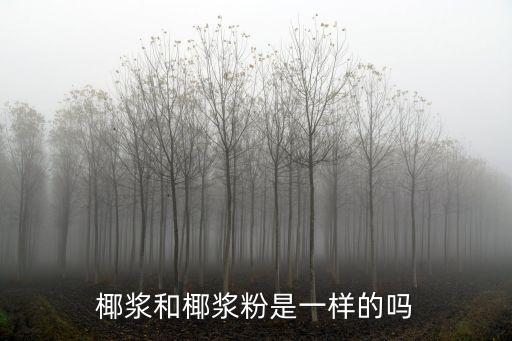 椰漿和椰漿粉是一樣的嗎