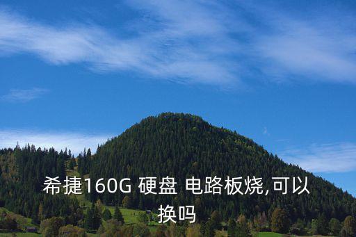 希捷160G 硬盤 電路板燒,可以換嗎