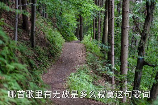 為你祈禱簡譜,《無敵》周星馳作詞作曲演唱歌曲