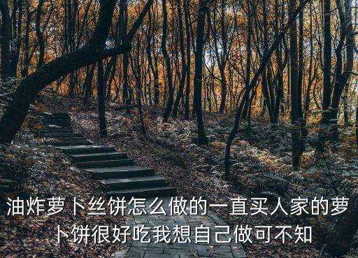 炸蘿卜絲餅，油炸蘿卜絲餅怎么做的一直買人家的蘿卜餅很好吃我想自己做可不知