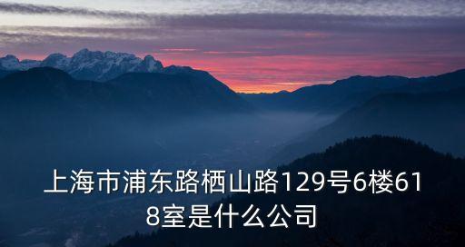 上海市浦東路棲山路129號6樓618室是什么公司