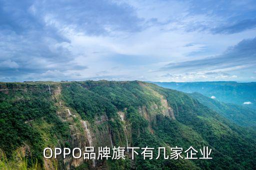 oppo公司，OPPO 總部在哪