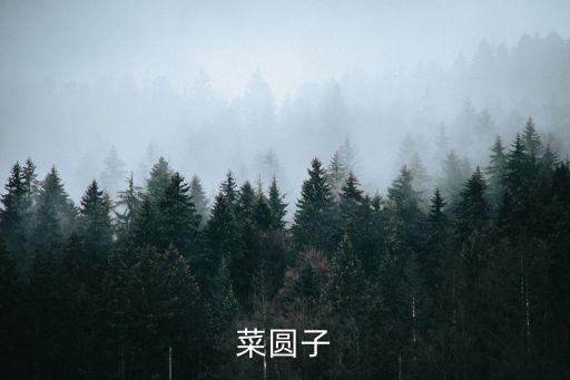 菜丸子，菜圓子