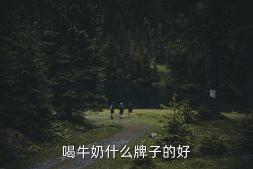喝牛奶什么牌子的好