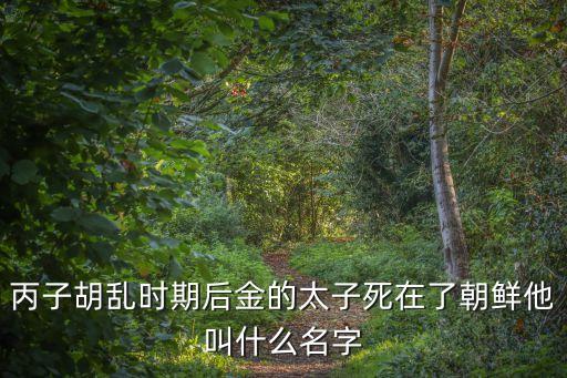 丙子胡亂，丙子胡亂時期后金的太子死在了朝鮮他叫什么名字