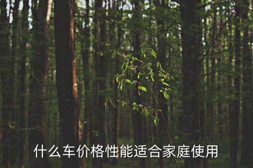 什么車價格性能適合家庭使用