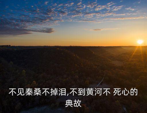 不死心,沒看見棺材就不哭?