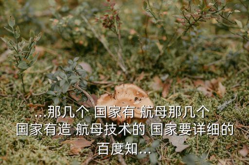 ...那幾個 國家有 航母那幾個 國家有造 航母技術(shù)的 國家要詳細的百度知...