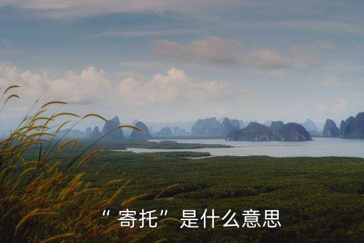 “ 寄托”是什么意思