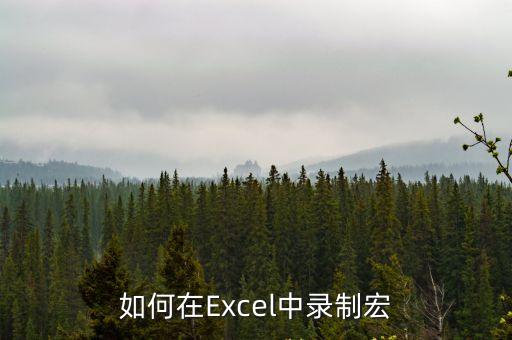如何在Excel中錄制宏