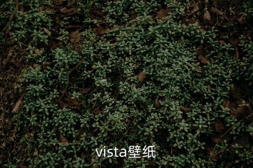 vista壁紙