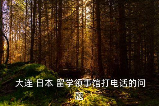  大連 日本 留學領事館打電話的問題