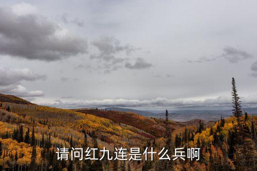 請問紅九連是什么兵啊