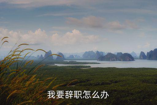我要辭職怎么辦