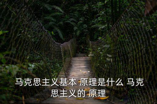 馬克思主義哲學(xué)原理