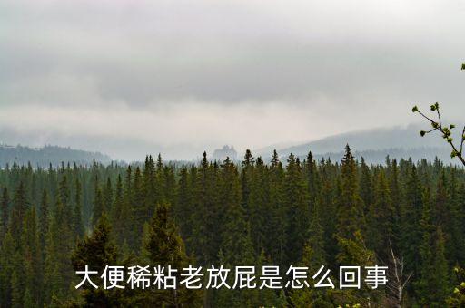 大便溏稀老放屁，老是放屁大便不好比較稀