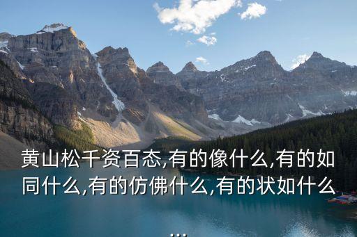黃山松千資百態,有的像什么,有的如同什么,有的仿佛什么,有的狀如什么...