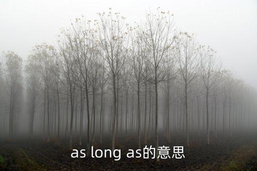 as long as的意思