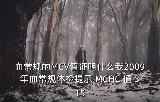 血常規的MCV值證明什么我2009年血常規體檢提示 MCHC 值 315
