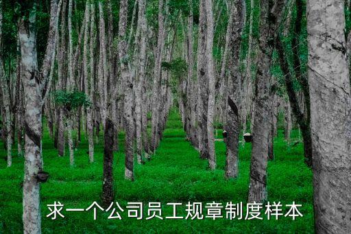 求一個公司員工規章制度樣本