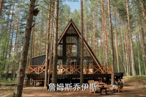 詹姆斯喬伊斯