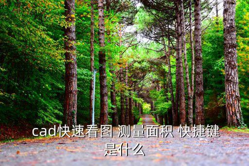 cad測量快捷鍵,cad快速查看軟件怎么用?
