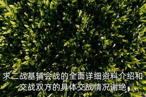 求二戰基輔會戰的全面詳細資料介紹和交戰雙方的具體交戰情況謝絕