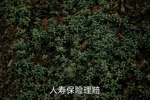 人壽保險理賠