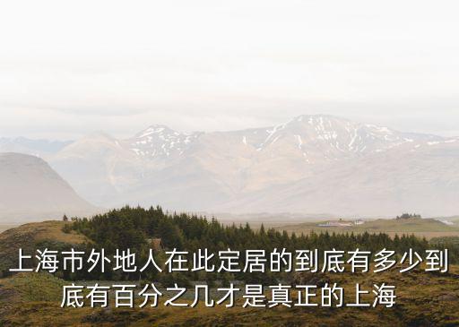 上海市外地人在此定居的到底有多少到底有百分之幾才是真正的上海