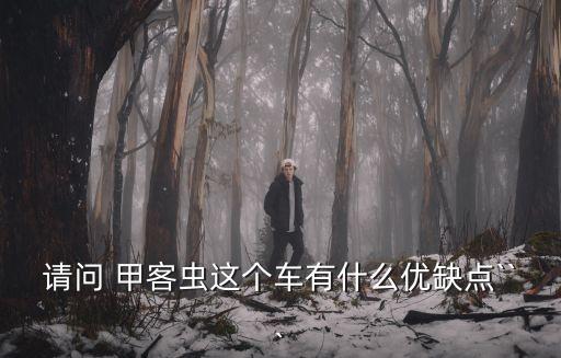 請問 甲客蟲這個車有什么優缺點```